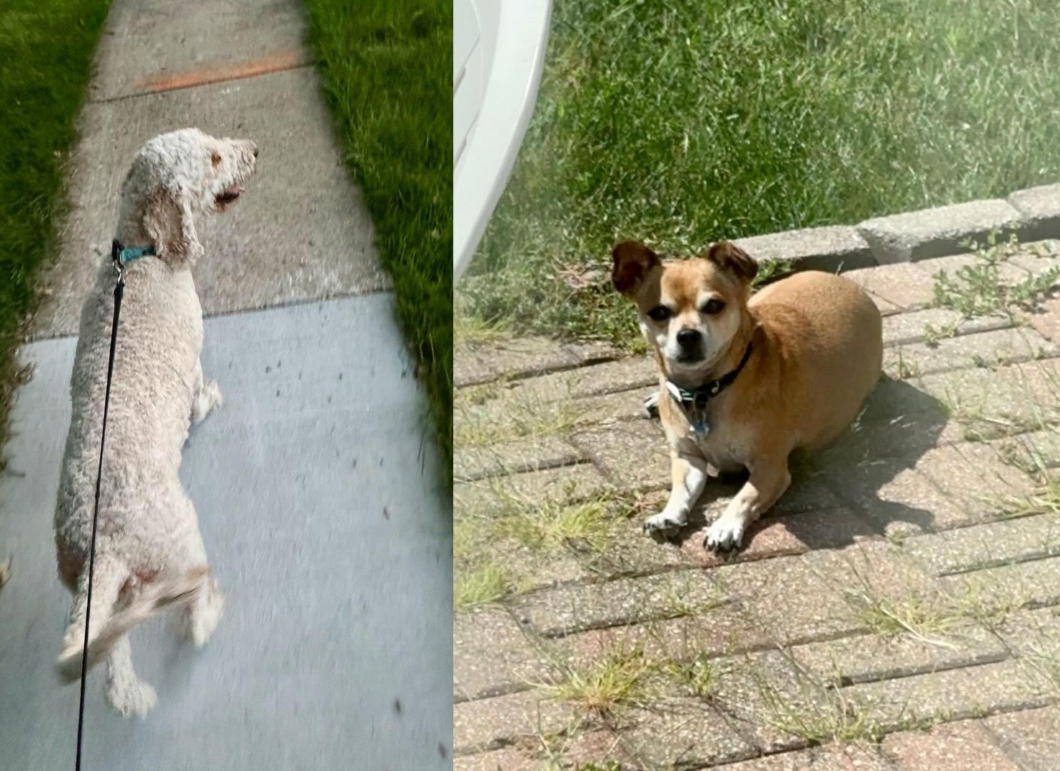 Precision in Practice Behind the Scenes of Tungsten Parts Processing