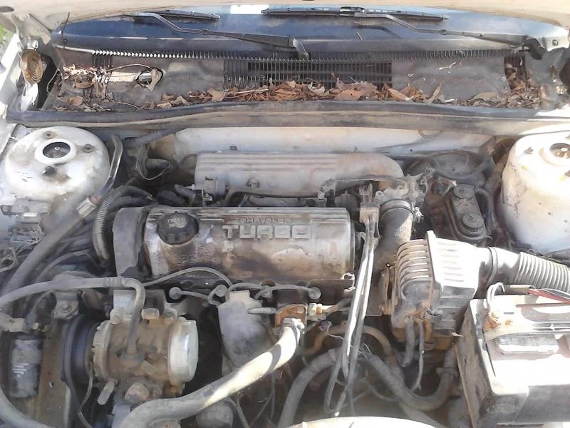 [DIAGRAM] 1989 Shelby Dakota Wiring Diagram - MYDIAGRAM.ONLINE