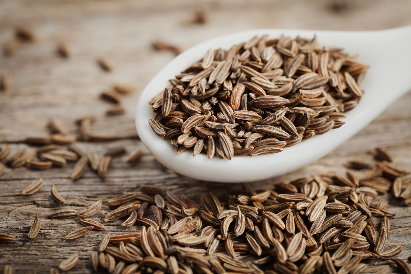 Turkish Cumin Seeds Turkey Dalal Your agent in Turkey