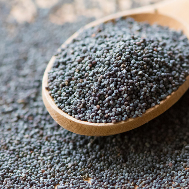 Turkish Poppy Seeds Turkey Dalal Your agent in Turkey