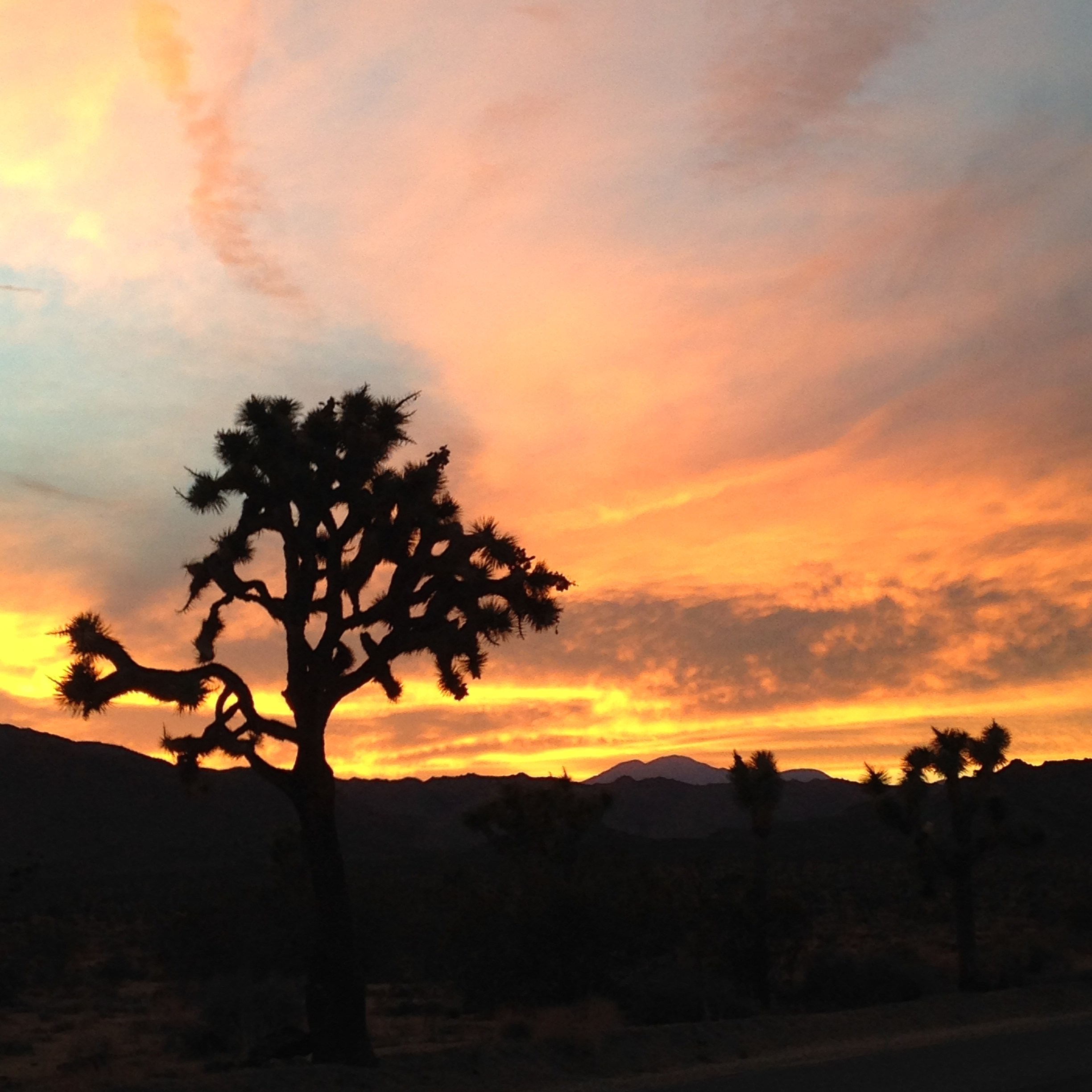 Turntable Kitchen's Top New Singles Turntable Kitchen