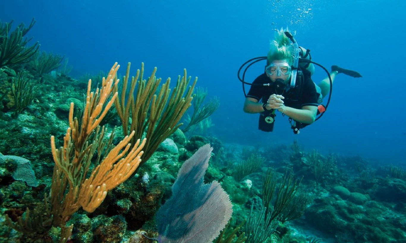 Expert Fiji Diving Charters & All Inclusive Scuba Diving in Fiji