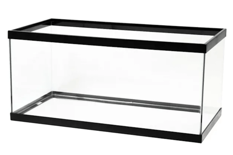 The Best Cheap Turtle Tanks (From 50 to 250) TurtleHolic