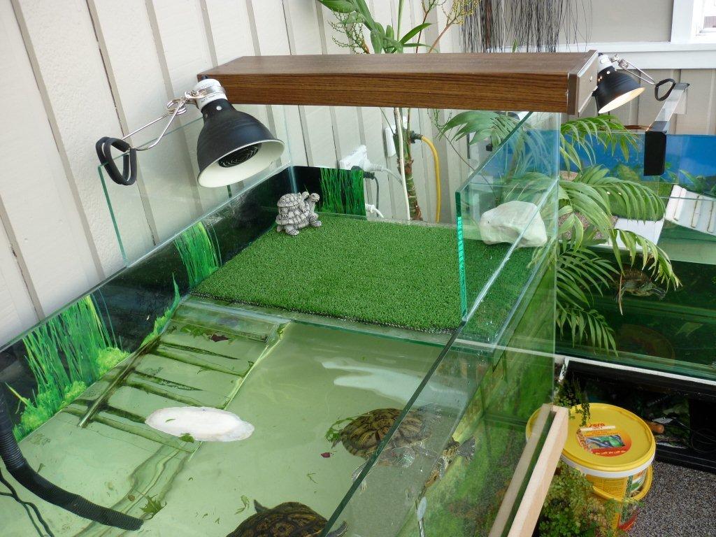 Turtle Tank Ideas, Installation Guide And Habitats, 43 OFF