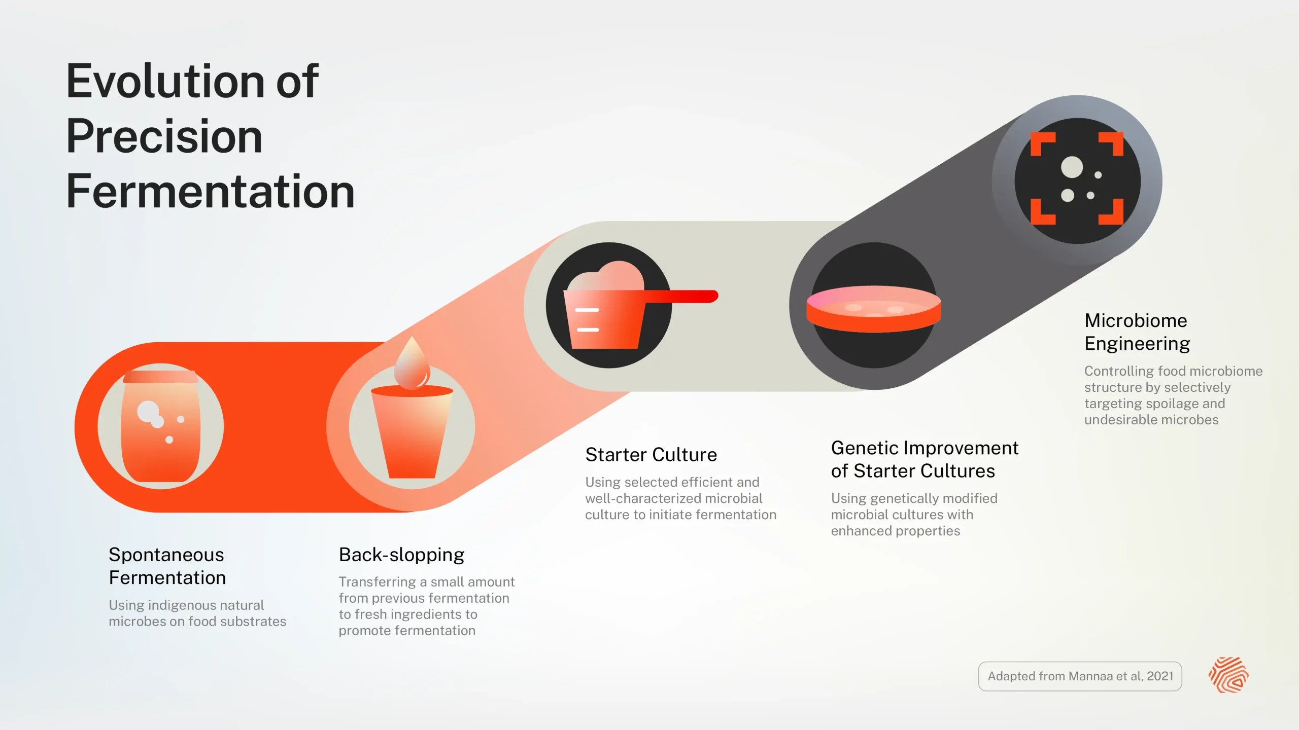 Precision Fermentation Perfected Strain Engineering