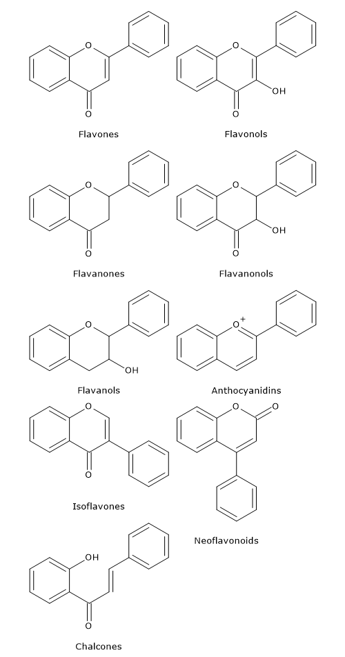 Flavonoids definition, chemical structure, classification