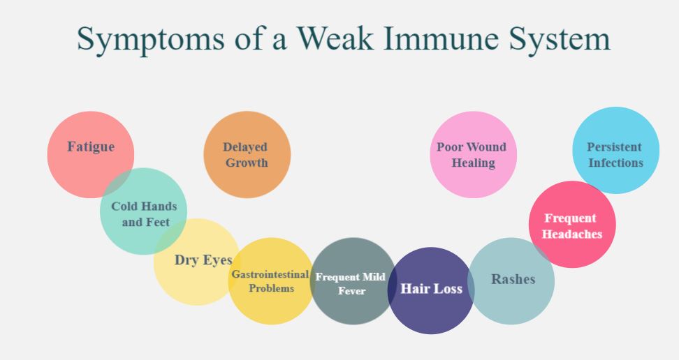 What Is an Immune System? What Are the Symptoms of a Weak Immune System?