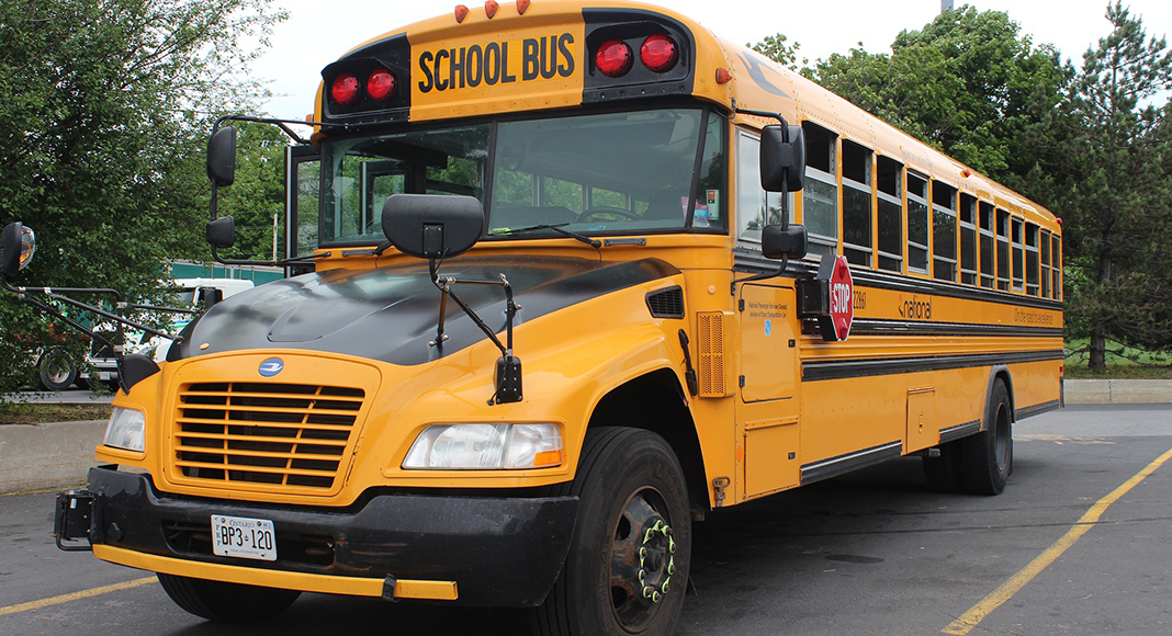 Extraordinary Career What’s Required To a School Bus Driver