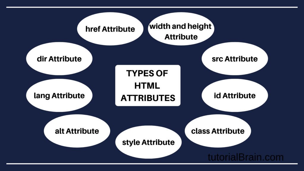 HTML Attributes Tutorial with Examples— TutorialBrain