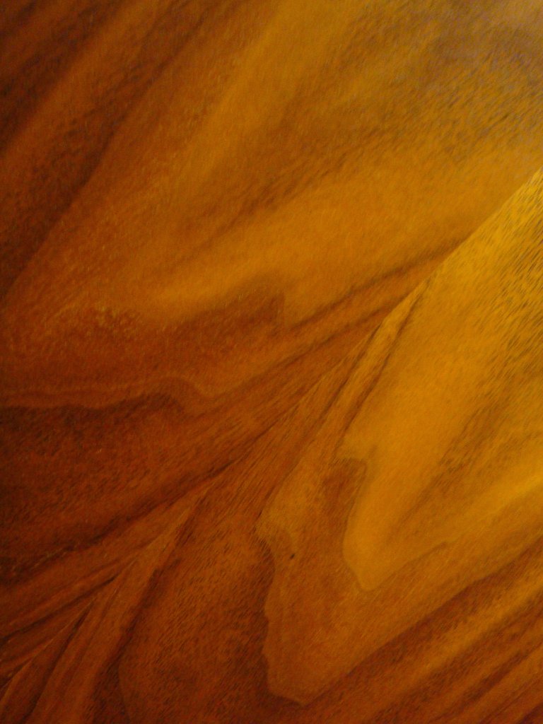 Wood Veneer TutorialChip