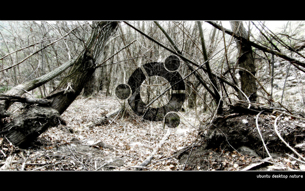 32 Really Beautiful Ubuntu Desktop Wallpapers TutorialChip