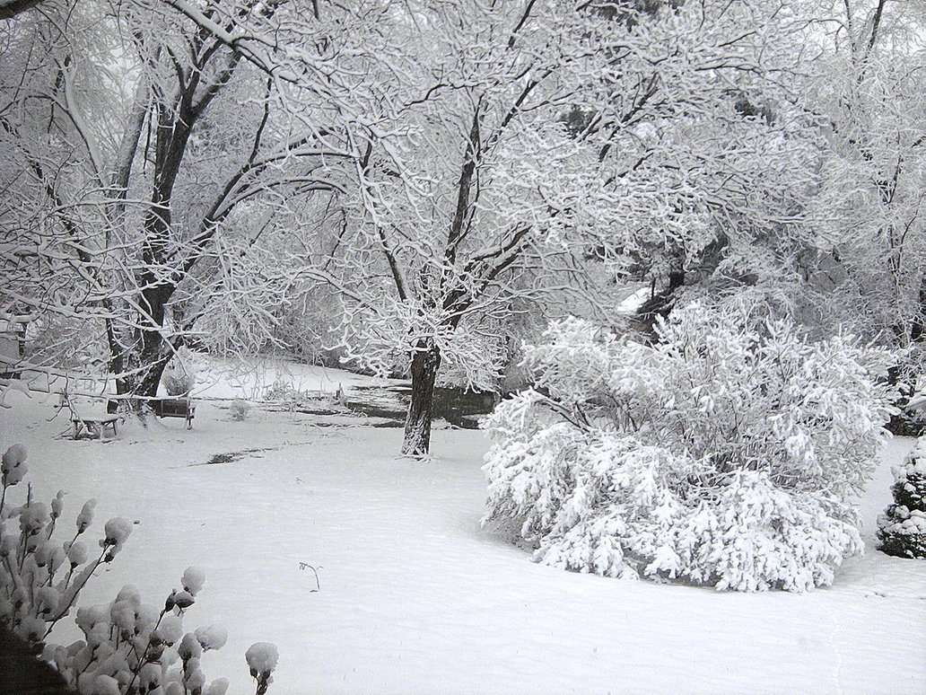 40 Eye Catching Winter Snow Photography Examples The Beauty of Winter