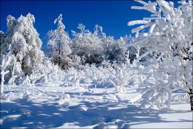 40 Eye Catching Winter Snow Photography Examples The Beauty of Winter