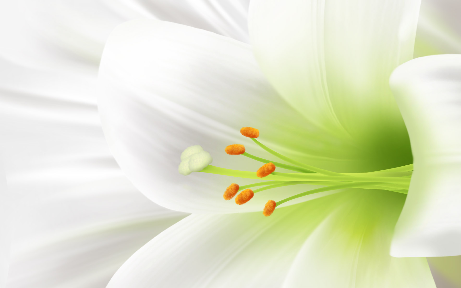 Easter Flower Desktop Wallpaper To Download TutorialChip