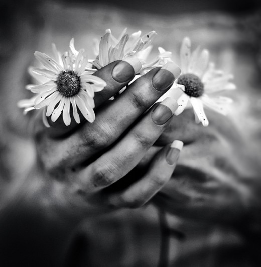 25 Heart Stopping Flower Photography Showcase TutorialChip