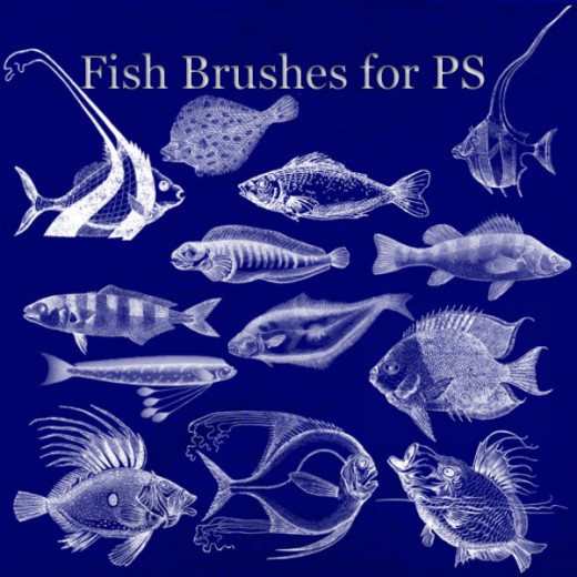 160+ Free Fish Brushes TutorialChip
