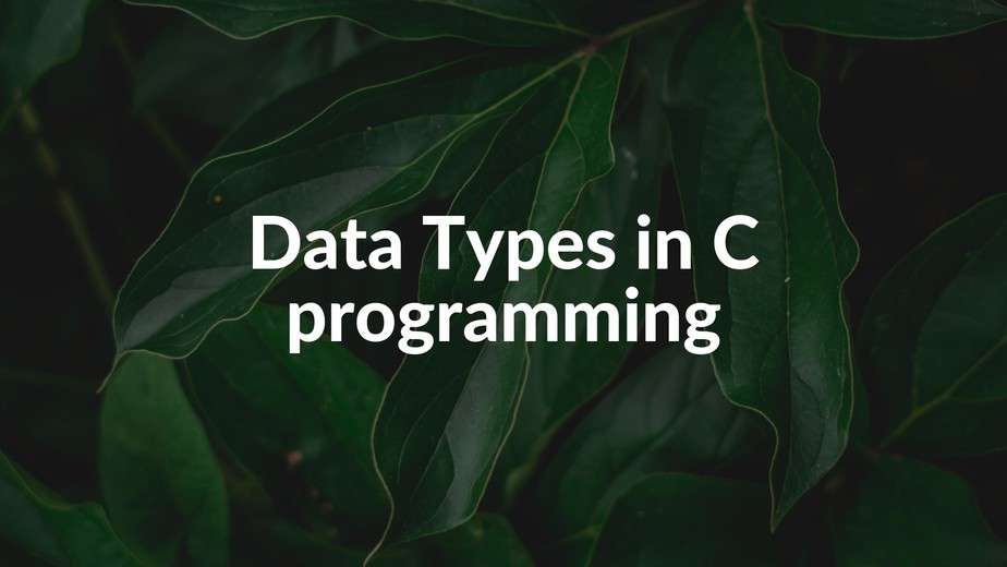 Data Types in C Programming