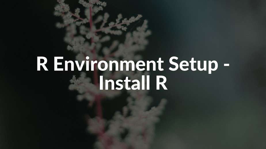 R Environment Setup Install R in Windows Install R in Linux