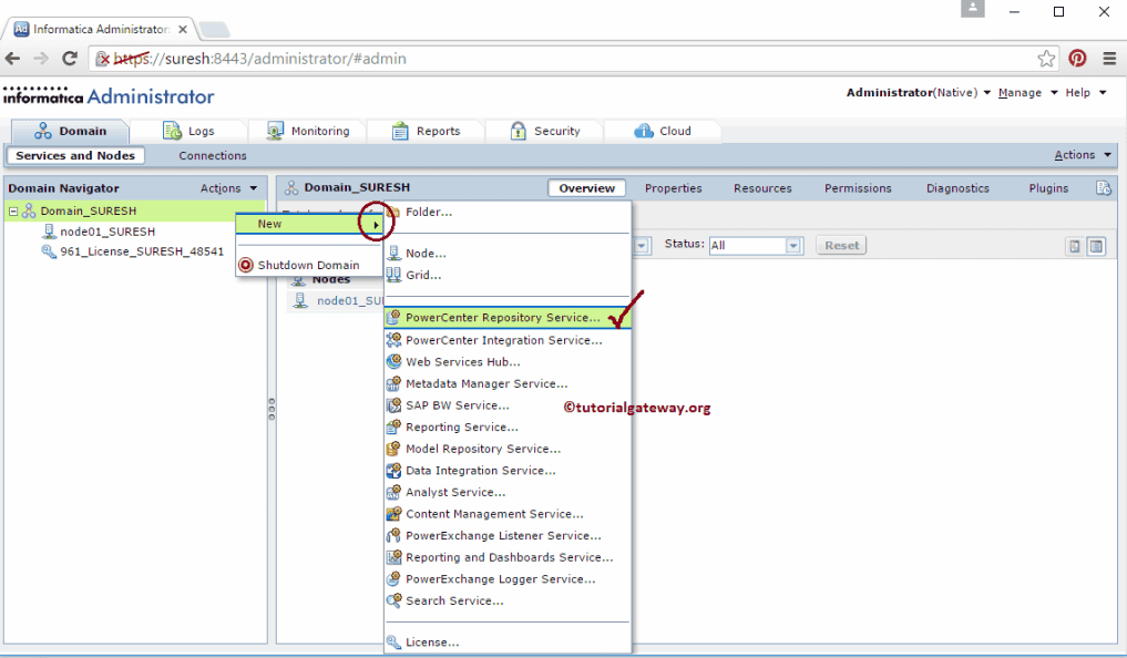 Informatica Admin Console