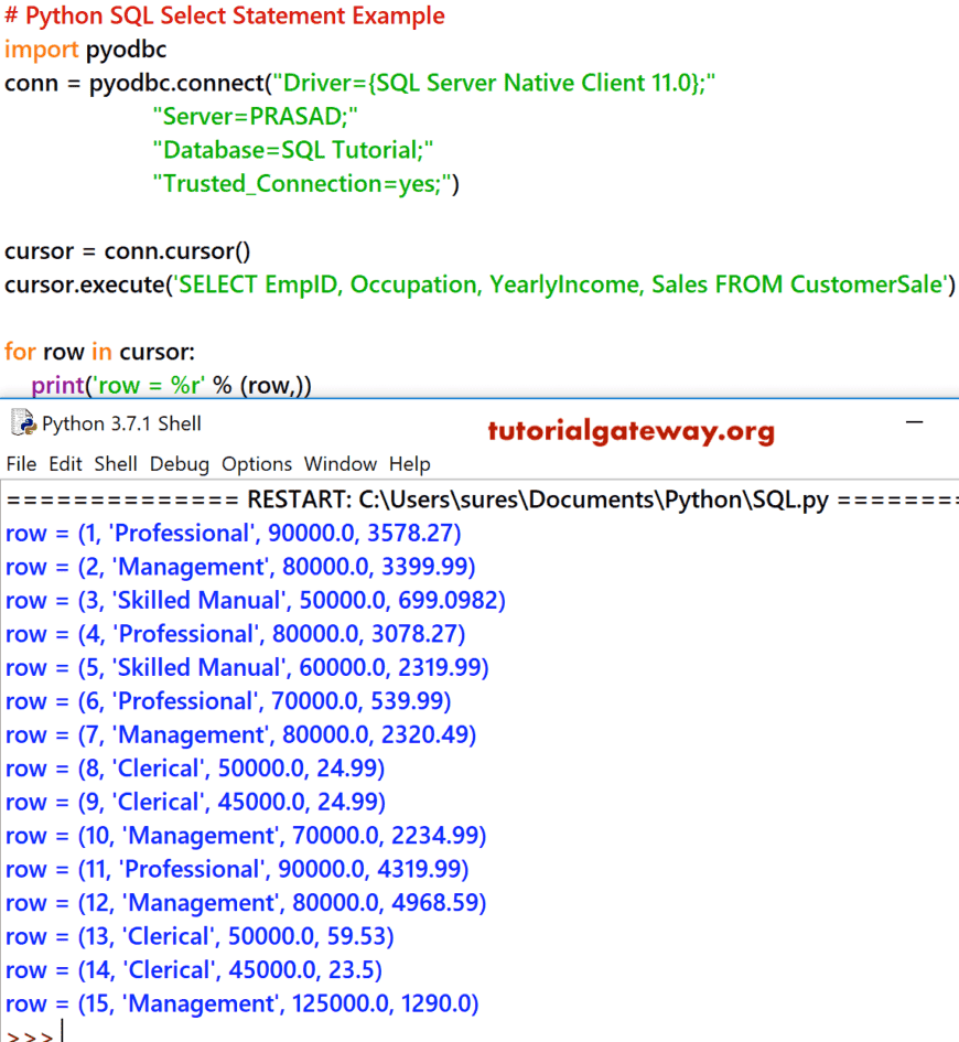 Python SQL Select Statement