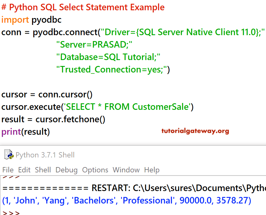 Python SQL Select Statement