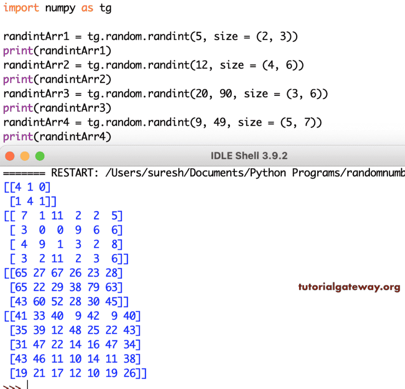 Python numpy random randint
