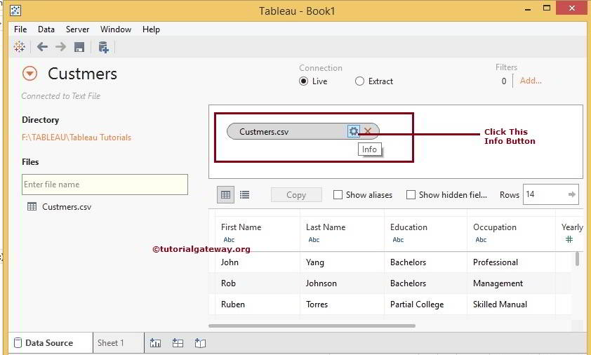 Connecting to Text File in Tableau