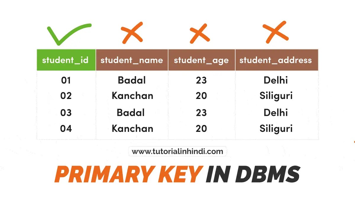 Primary Key in DBMS in Hindi (प्राथमिक कुंजी क्या है) Tutorial in Hindi