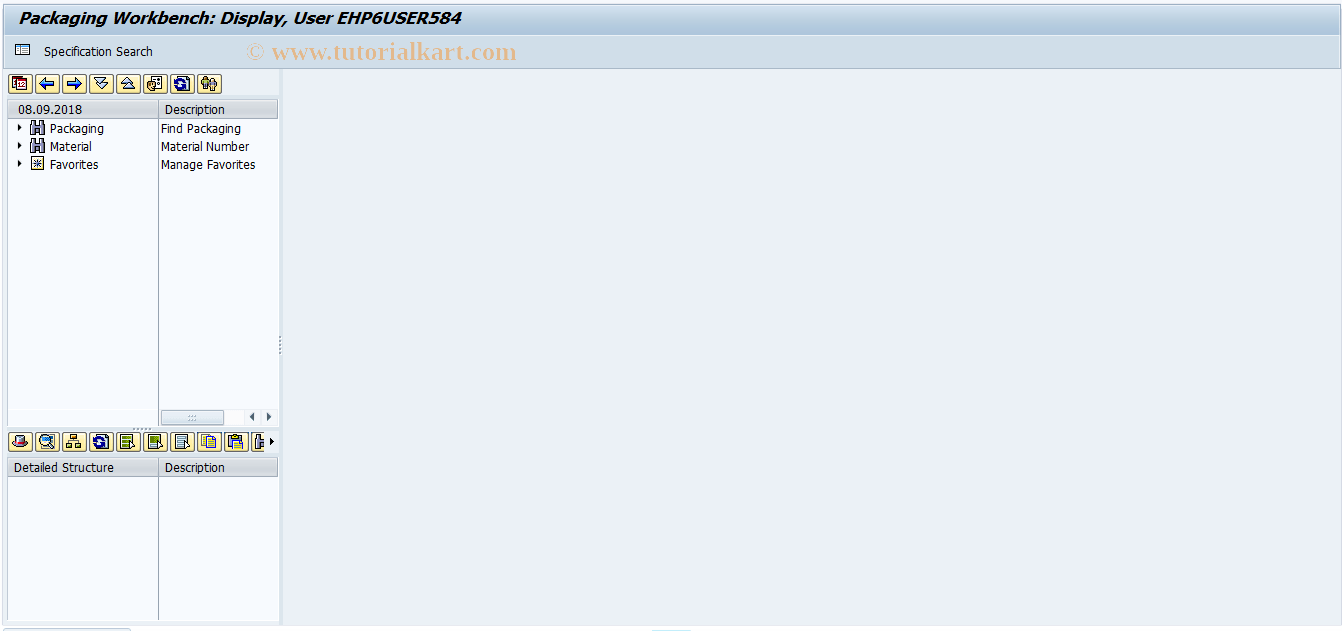 CGE2 SAP Tcode Packaging Workbench Transaction Code