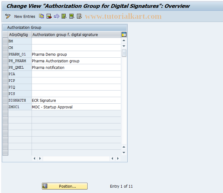 ELSIG01 SAP Tcode Authorization Group Digital Signatures Transaction Code