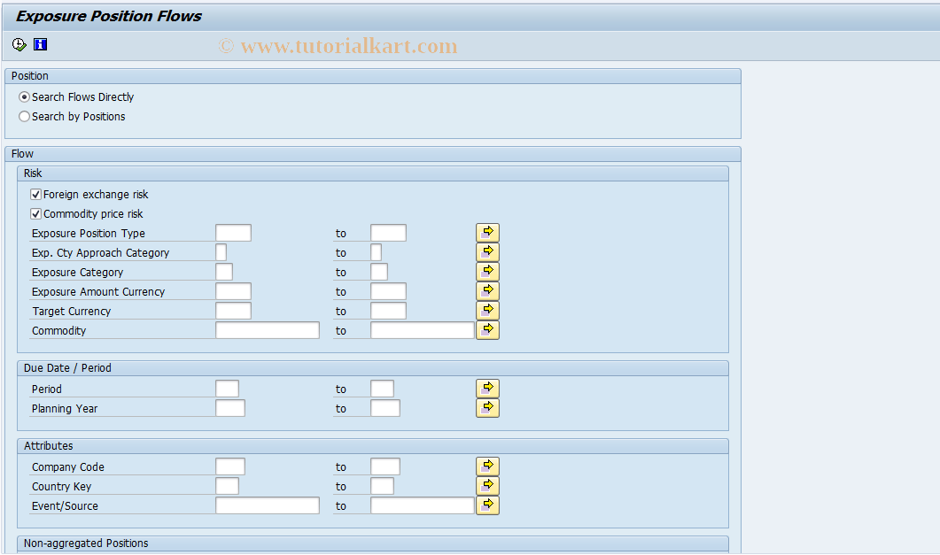 FTREX13 SAP Tcode Exposure Flows Display Transaction Code