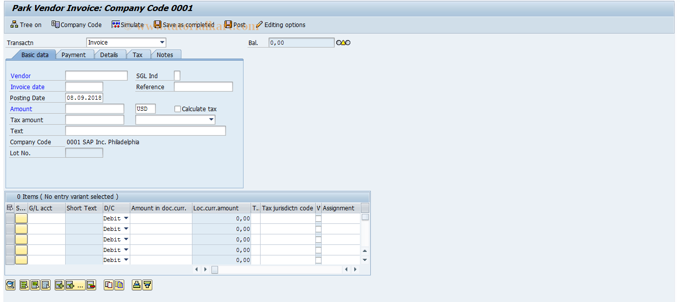 FV60 SAP Tcode Park Invoices Transaction Code