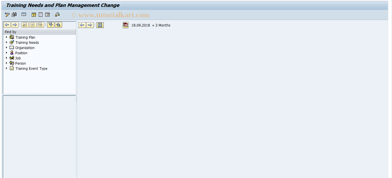 HRTNM00_REPMOD SAP Tcode TNM Transaction Modify mode Transaction Code