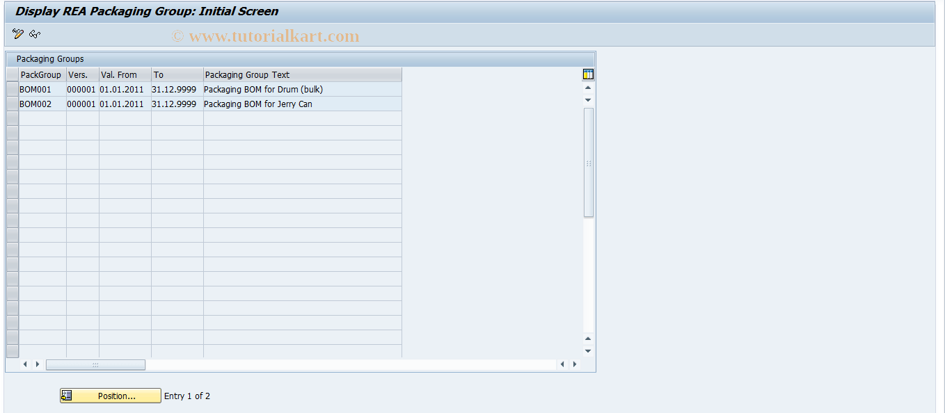 J7LG SAP Tcode REA Display Packaging Group Transaction Code