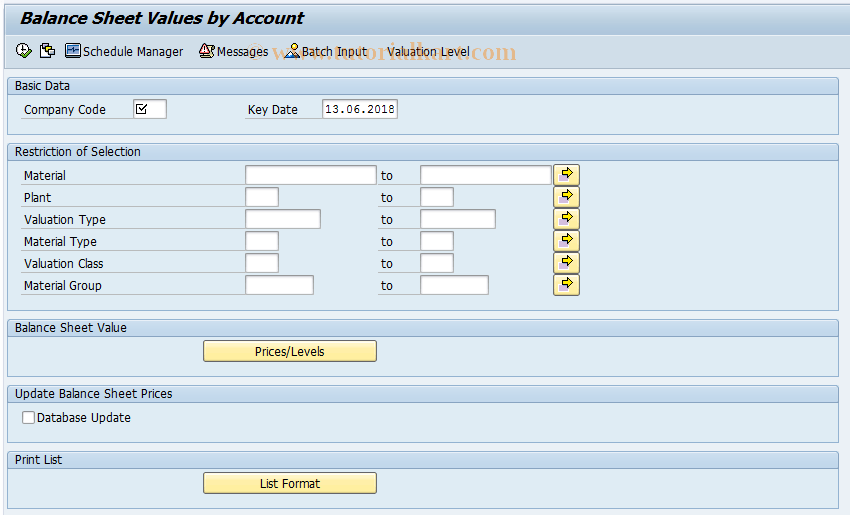 Peerless Sap Balance Sheet Tcode Calculations Examples