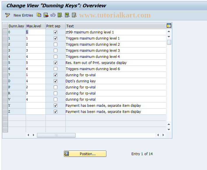 OB17 SAP Tcode C FI Maintain Table T040 Transaction Code