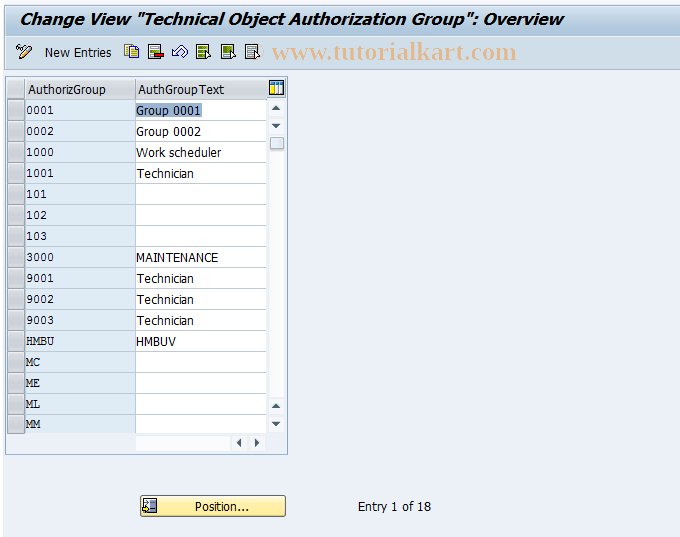 OIAG SAP Tcode Authorization Group Transaction Code