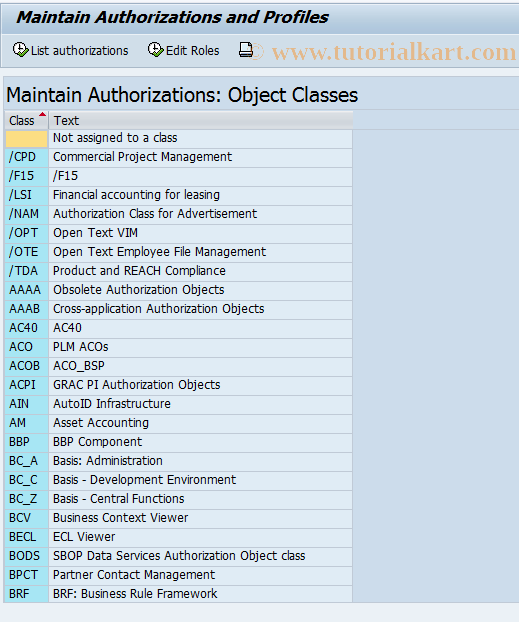 OY20 SAP Tcode Authorizations Customizing Transaction Code