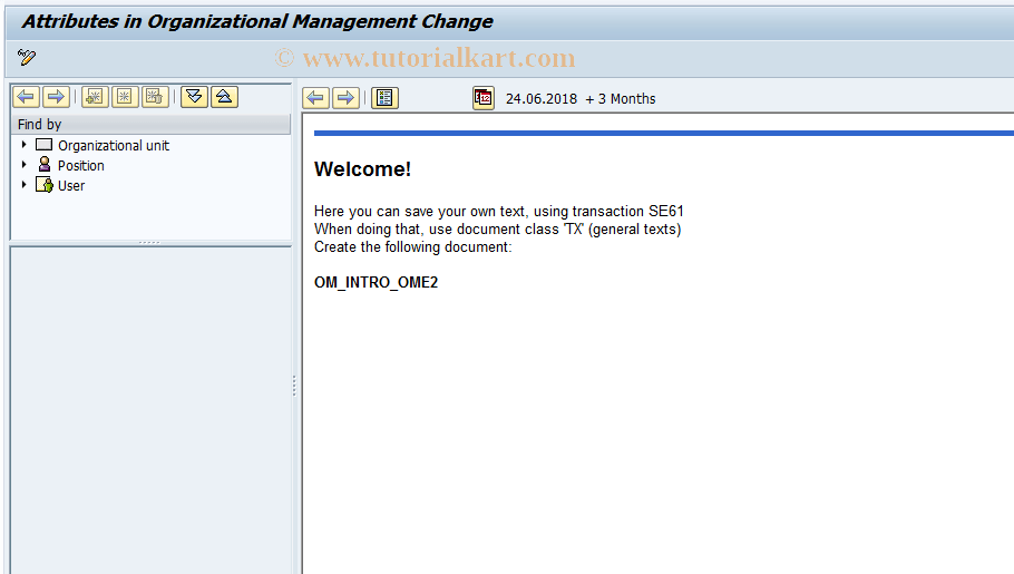PPOMA SAP Tcode Change Attributes Transaction Code