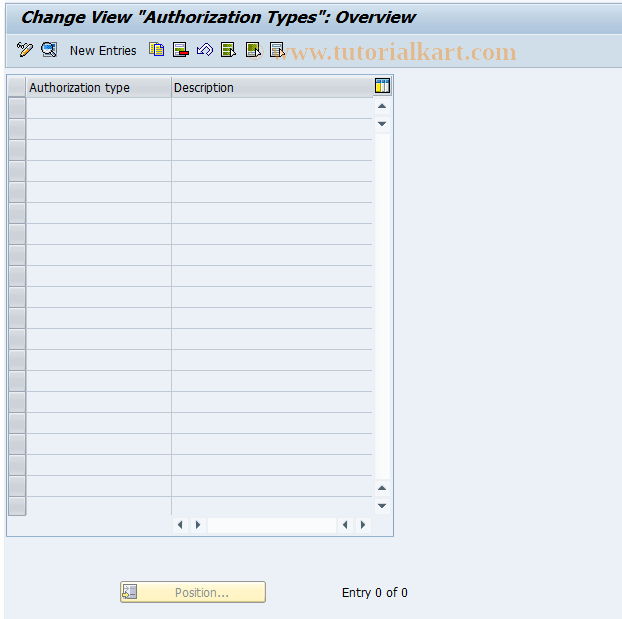 REGC0102 SAP Tcode Authorization Types Transaction Code