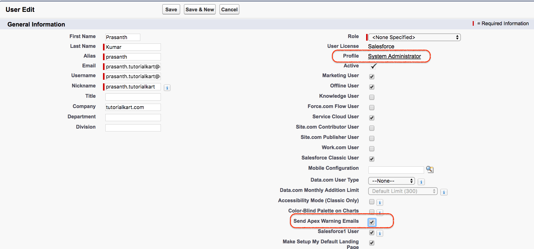 Salesforce Governor Limits PDF download TutorialKart