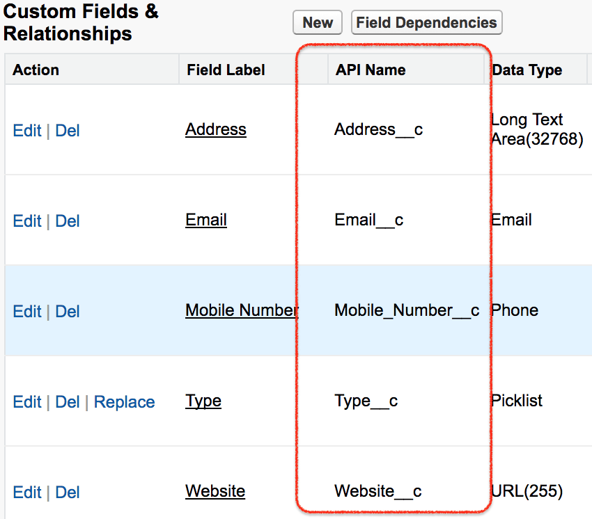 Apex SOQL How to get API Name of Fields TutorialKart