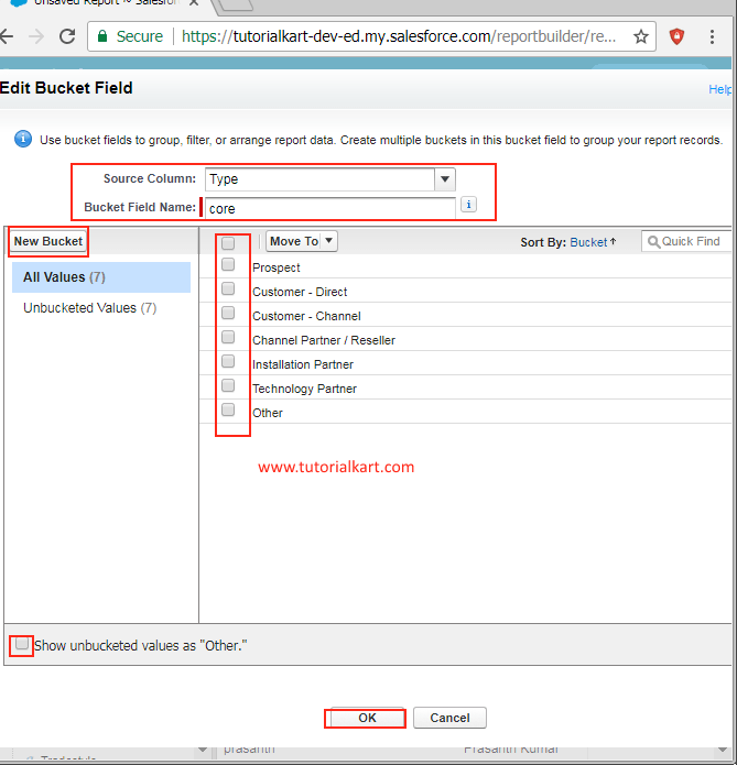 What is a Bucket Field in Salesforce Reports TutorialKart