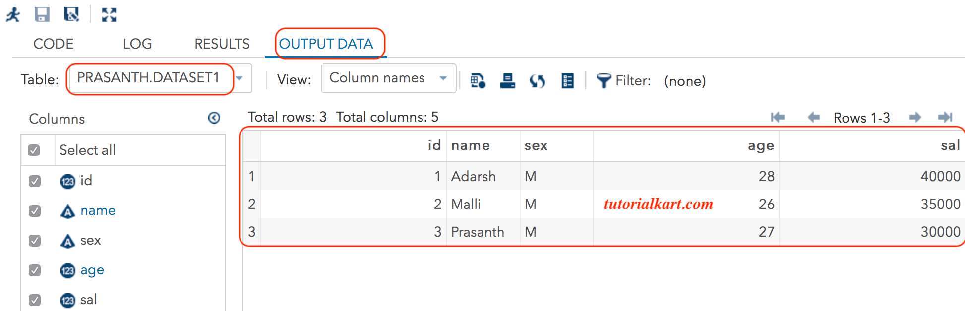 SAS Datasets TutorialKart