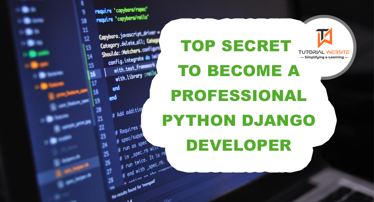Best Way to a Professional Python Django Developer?