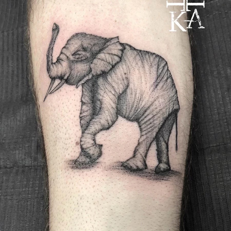 Elefante - Tuttotattoo.com 900_x_900_jpg
