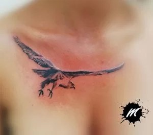Tatuaggi Aquila - Tuttotattoo.com 264_x_300_jpg