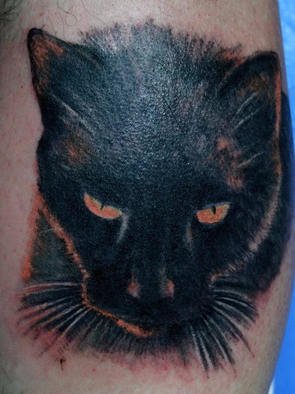 Gatto Nero - Tuttotattoo.com 800_x_600_jpg