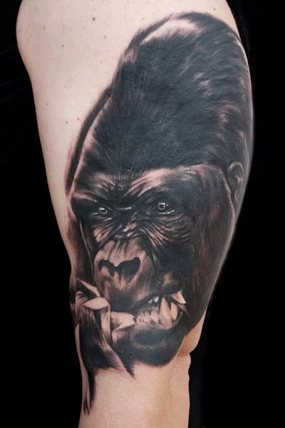 Tattoo Gorilla - Tuttotattoo.com 600_x_400_jpg