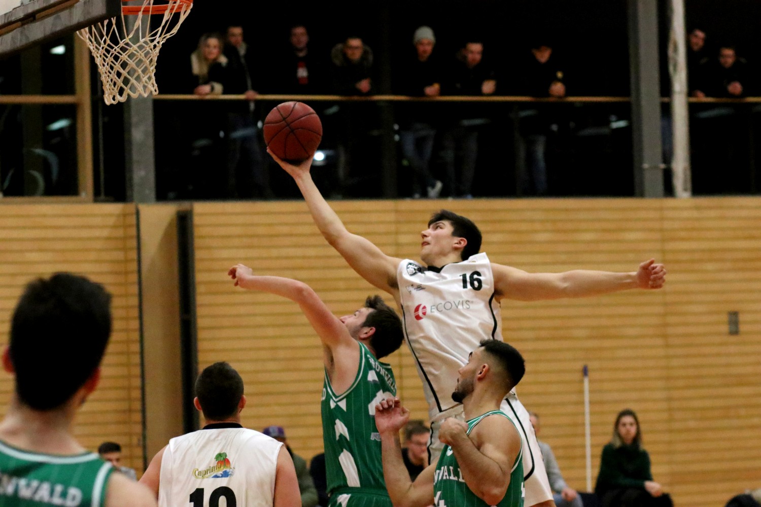 Basketball Dukes erhalten sich die Aufstiegschancen • TV Dingolfing e